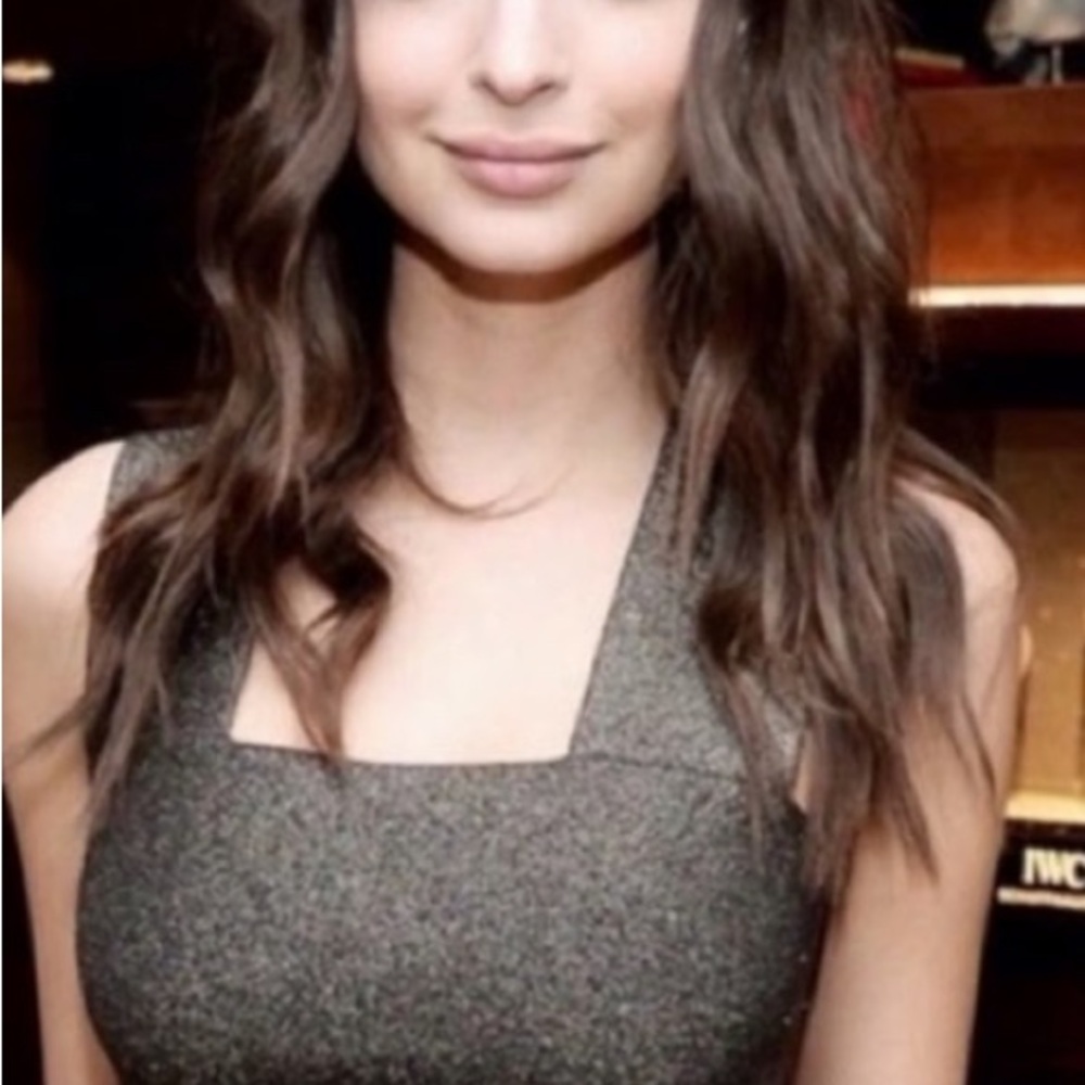 A.L.C. Gray Crop Top